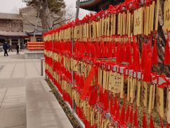 -天津大悲禅院