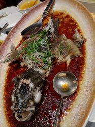 -曼格纳婚礼艺术中心(张江店)