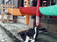 -前童古镇
