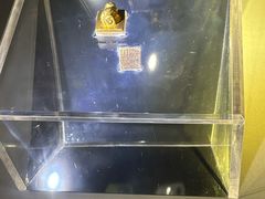 -云南省博物馆
