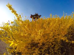 -赵州桥景区