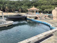 -广东惠东海龟国家级自然保护区