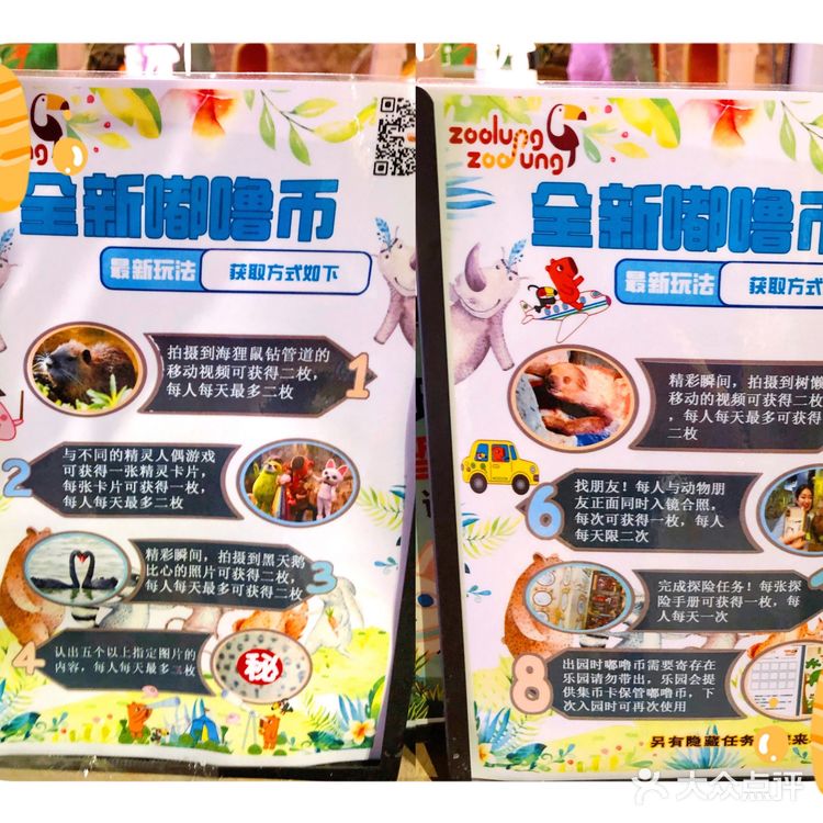 Zoolung zoolung史上最强攻略💕💕💕