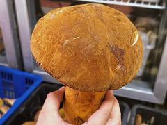 -双喜农庄·菌香园(安居家园店)