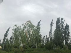 -阅海欢乐岛