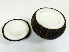 -志龙皇冠吃货椰子铺