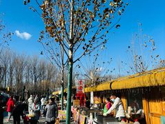 -辛庄国际文化艺术区