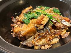 -清晖小苑·顺德菜(观澜湖新城店)