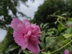 -九龙潭景区