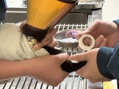 -瑞派紫金宠物医院24小时·骨科·中兽医·重症转诊中心(番禺大石院)