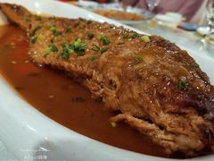 红烧黄河大鲤鱼-松针蔡记蒸饺(花园路店)