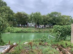 -美家乐农庄·露营·团建(大治路店)