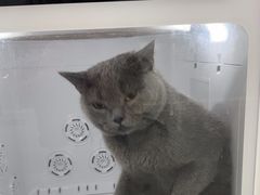 -爱洗澡的猫(天河路店)