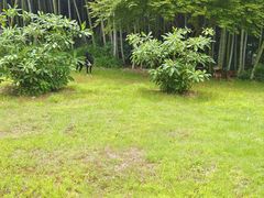 -苏州环秀晓筑养生度假村