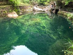 -白云源风景区