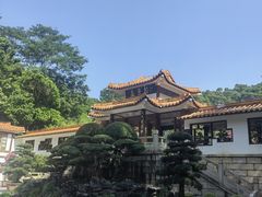 -深圳仙湖植物园
