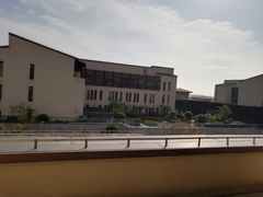 -上海崇明金茂凯悦酒店