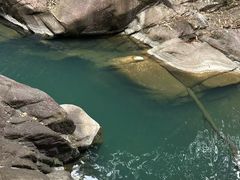 -九龙江国家森林公园