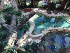 -中铁花水湾四季温泉谷
