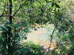 -广州白江湖森林公园