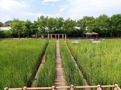-河北村民俗体验园