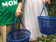 -塘栖枇杷特色园区