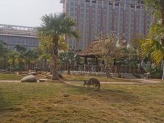 -灵玲国际马戏城