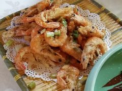 -丁老爷子苏香圆