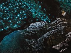 -怀托摩萤火虫洞