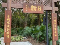 -海珠湖公园