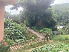-杨家堂村