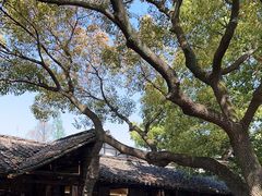 -乌镇东栅景区