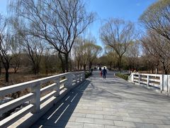 -大兴滨河森林公园