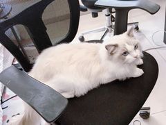 -猫遇摄影工作室