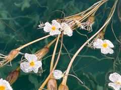 -丽江泸沽湖景区