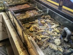 -旺顺阁海鲜广场(亚运村店)
