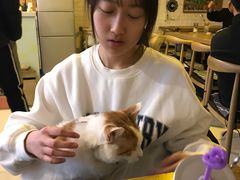 -平行世界·猫咖(首经贸店)