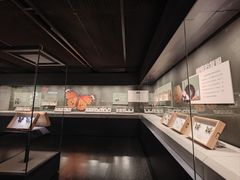 -四川宋瓷博物馆