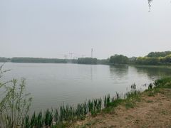 -大兴滨河森林公园