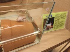 -御海8号温泉酒店