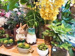 -舌尖上的食缘花园主题餐厅