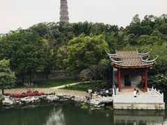 -顺峰山公园