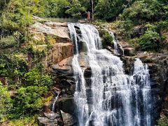 -海南热带雨林国家公园吊罗山景区