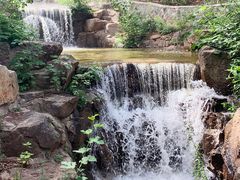 -北京西山国家森林公园