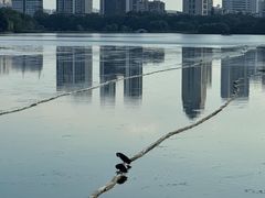 -南宁南湖公园