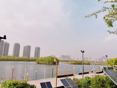 -长白岛森林公园