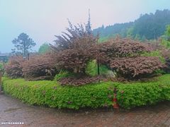 -故乡缘·香格里拉山庄(冷竹路店)