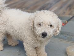 -乡乐园蟹庄·阳澄湖农家乐