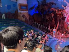 -烟台海昌鲸鲨海洋公园