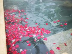 -苏州湾王焰温泉度假酒店